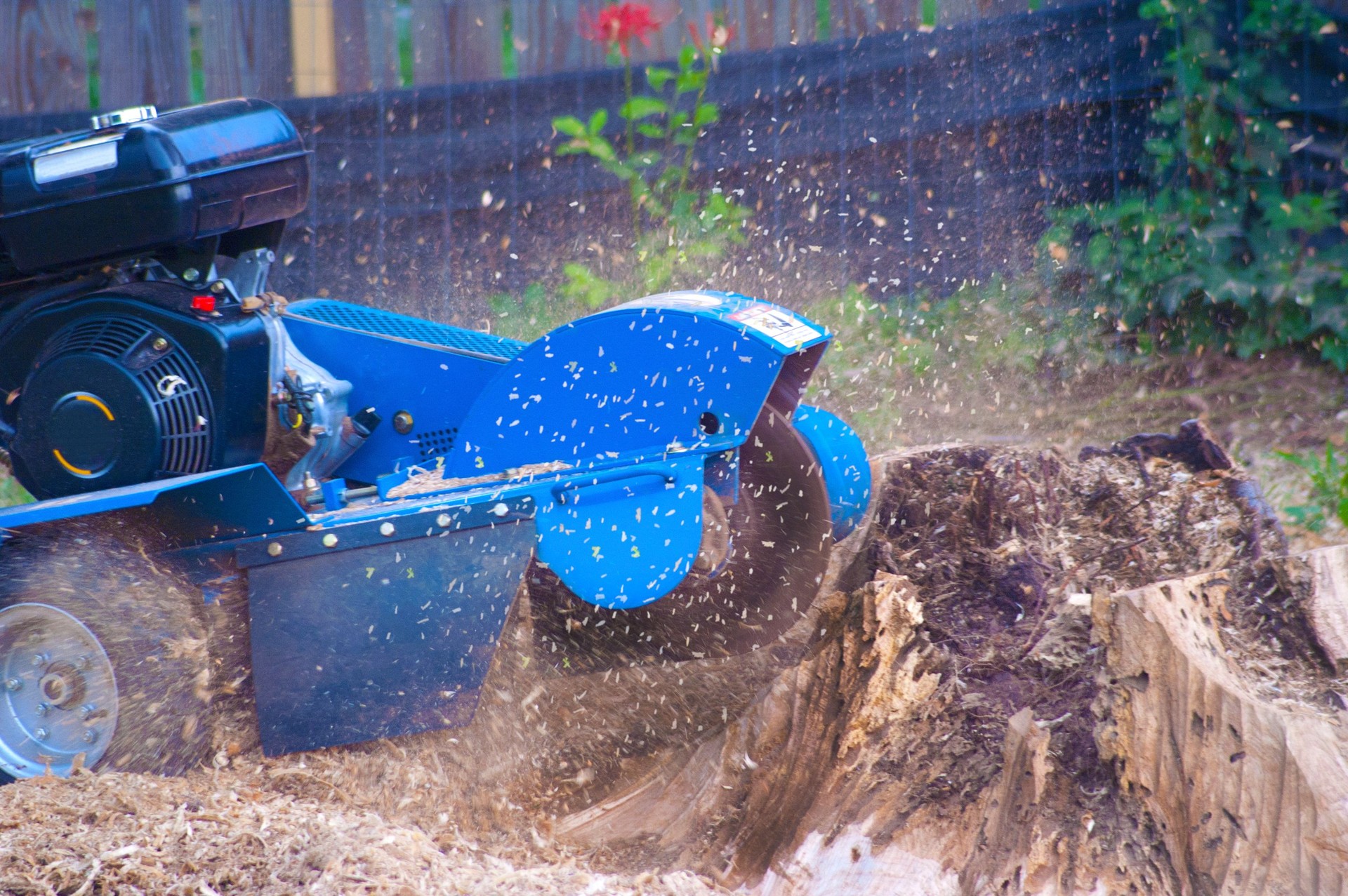 Stump Grinder at Work